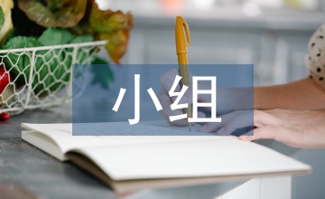 社會(huì)實(shí)踐小組總結(jié)