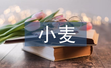 小麥節(jié)水高產(chǎn)栽培技術(shù)解析