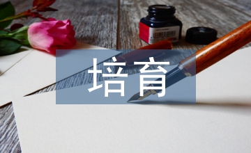 教學(xué)中培育學(xué)生的數(shù)學(xué)素養(yǎng)