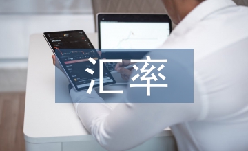 匯率風(fēng)險(xiǎn)論文