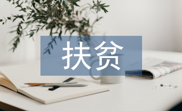 精準(zhǔn)扶貧精準(zhǔn)工作總結(jié)