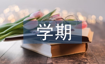 學(xué)期總結(jié)表個人總結(jié)