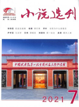 小說(shuō)選刊