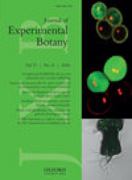 Journal Of Experimental Botany