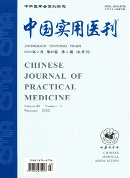 中國實用醫(yī)刊