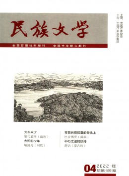 民族文學(xué)雜志