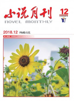 小說月刊雜志